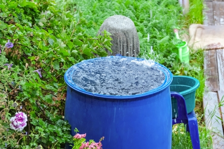 Rain water harvesting
